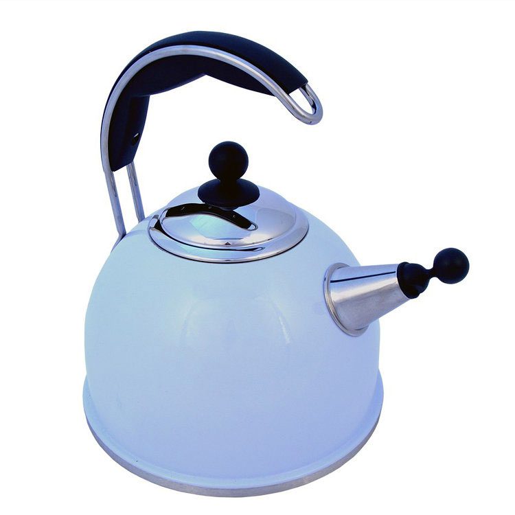 STAINLESS STEEL WHISTLING 2.2L KETTLE DUCK EGG BLUE